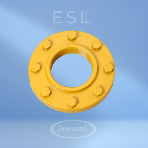 FLANGES FR.jpg