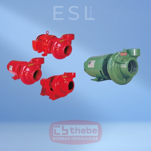 THEBE THL-13 THLI-13.jpg
