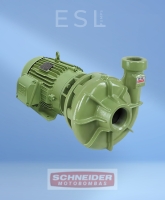 MOTOBOMBA CENTRÍFUGA MONOESTÁGIO SCHNEIDER BC 21