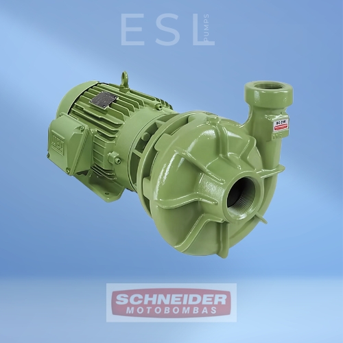 SCHNEIDER BC-21.jpg