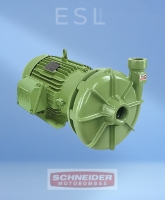MOTOBOMBA CENTRÍFUGA MONOESTÁGIO SCHNEIDER BC 22
