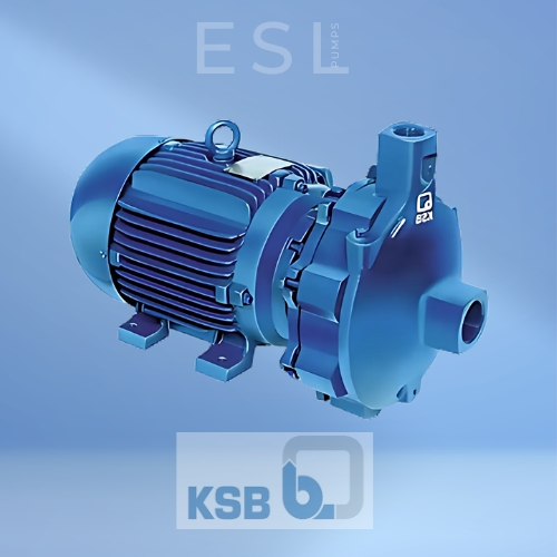 KSB MEGABLOC MONOBLOCO.jpg
