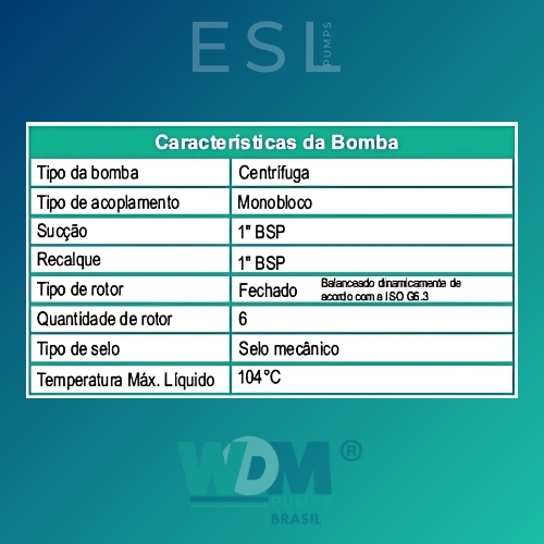 VHSE 2 - 2.jpg
