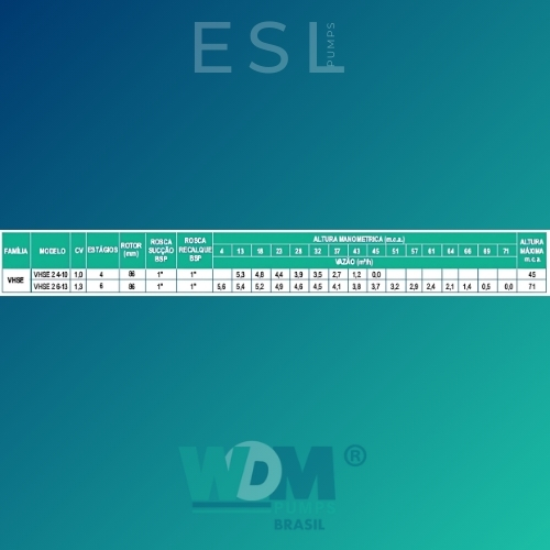 VHSE 2 - 5.jpg