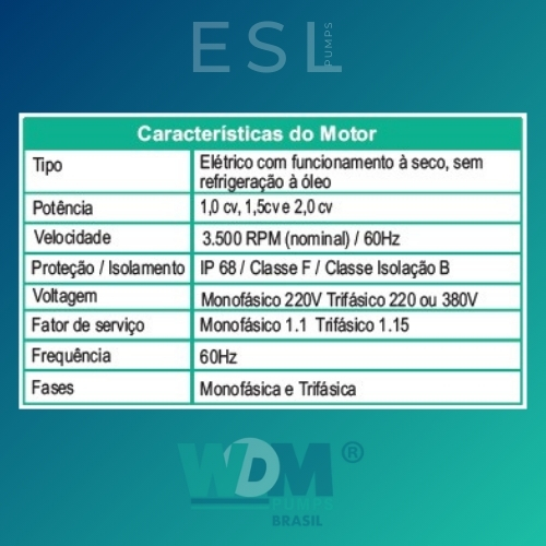 NWE2 - 4.jpg
